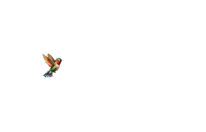 Colibri